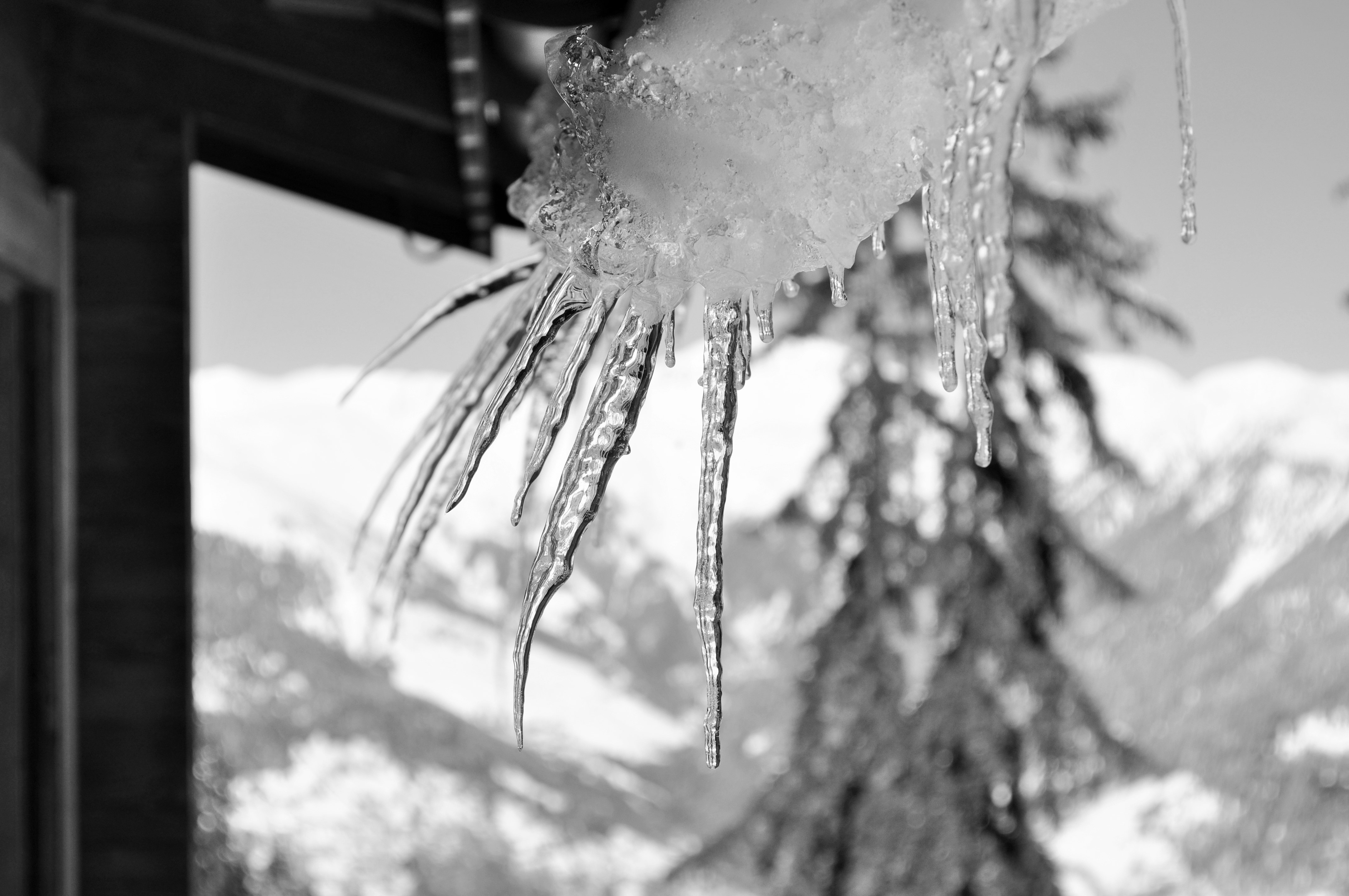 ice formation