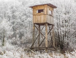 brown wooden sentry tower thumbnail