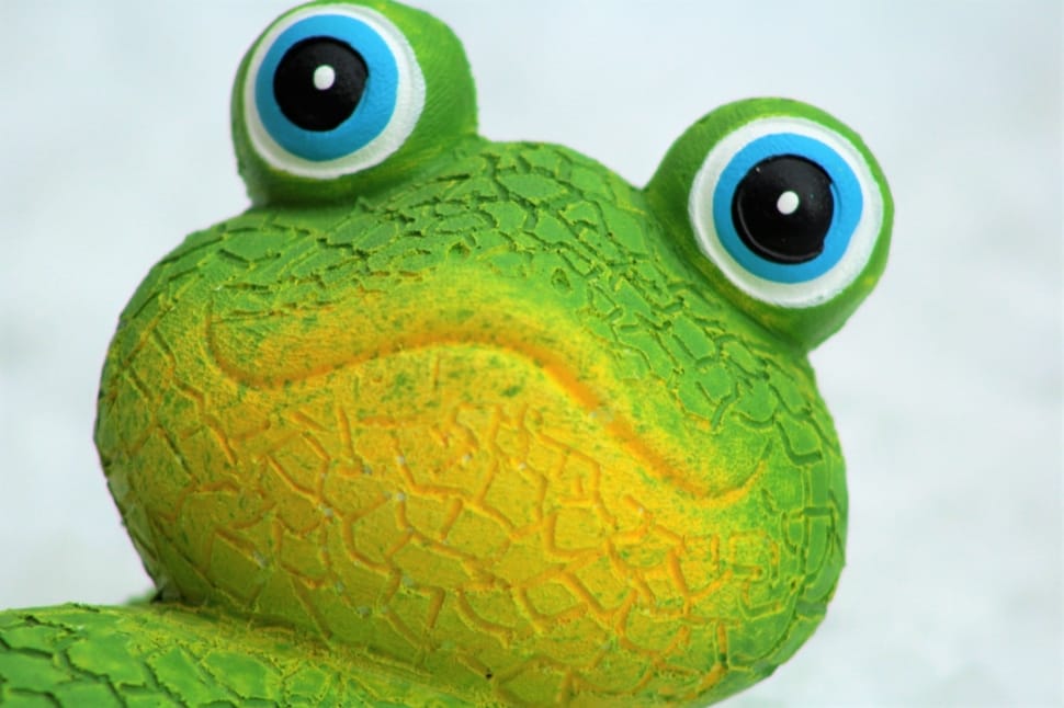 green and yellow frog preview
