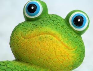 green and yellow frog thumbnail
