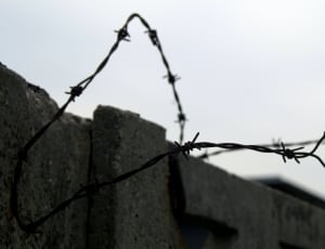 barbed wire thumbnail