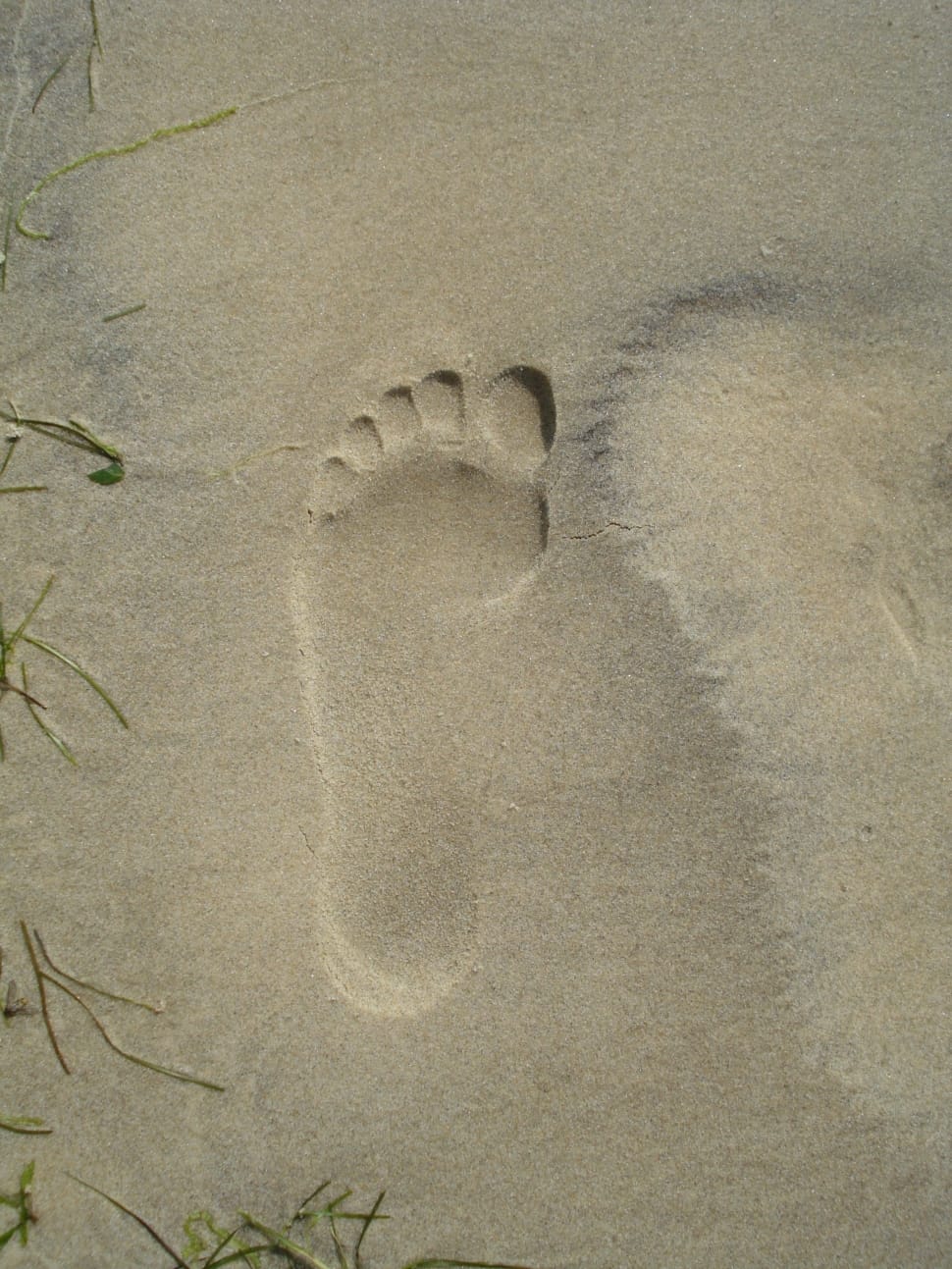 footprint on sand preview