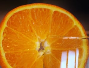 sliced orange fruit thumbnail
