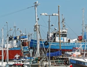 blue white and red fishing boat thumbnail