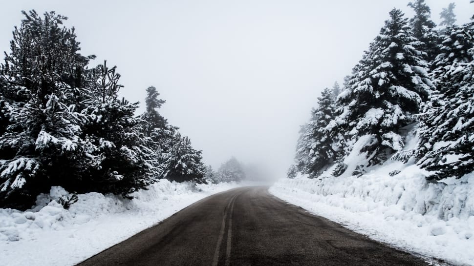 grayscale photography of road with snow and pine trees on side preview