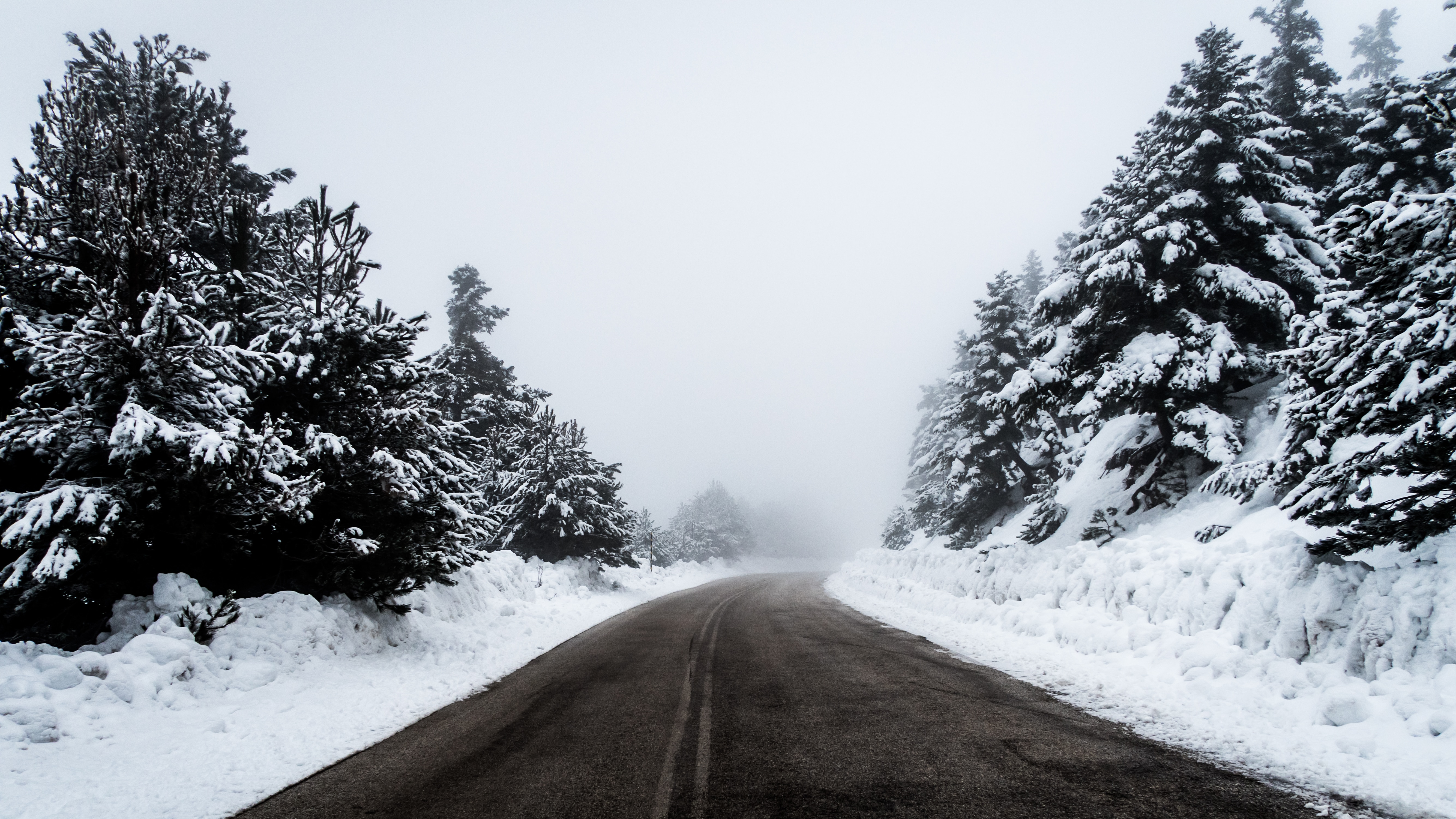 grayscale photography of road with snow and pine trees on side