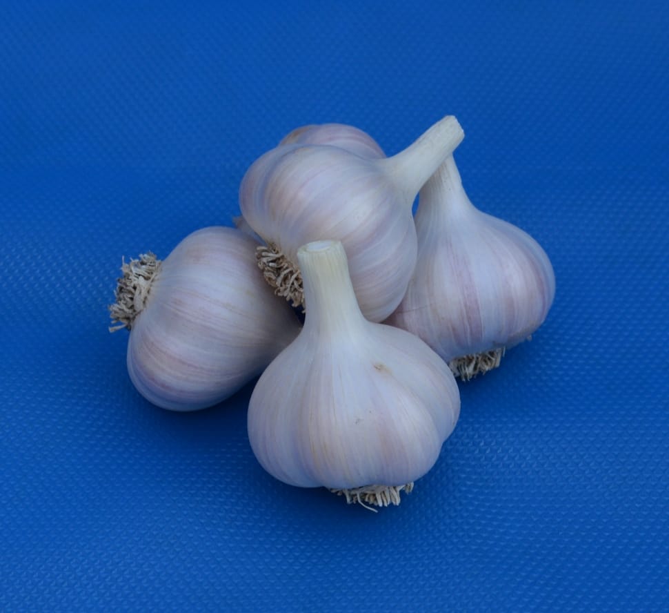 garlic preview