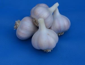 garlic thumbnail