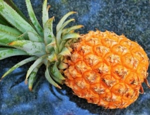 yellow pineapple thumbnail