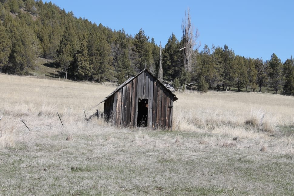 brown wooden hut on gray field preview