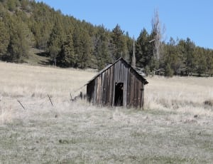 brown wooden hut on gray field thumbnail
