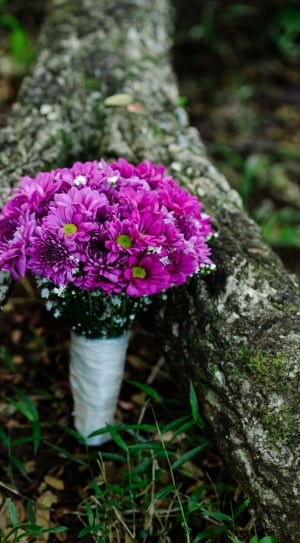 pink daisies and baby's breath flower hand tied bouquet thumbnail