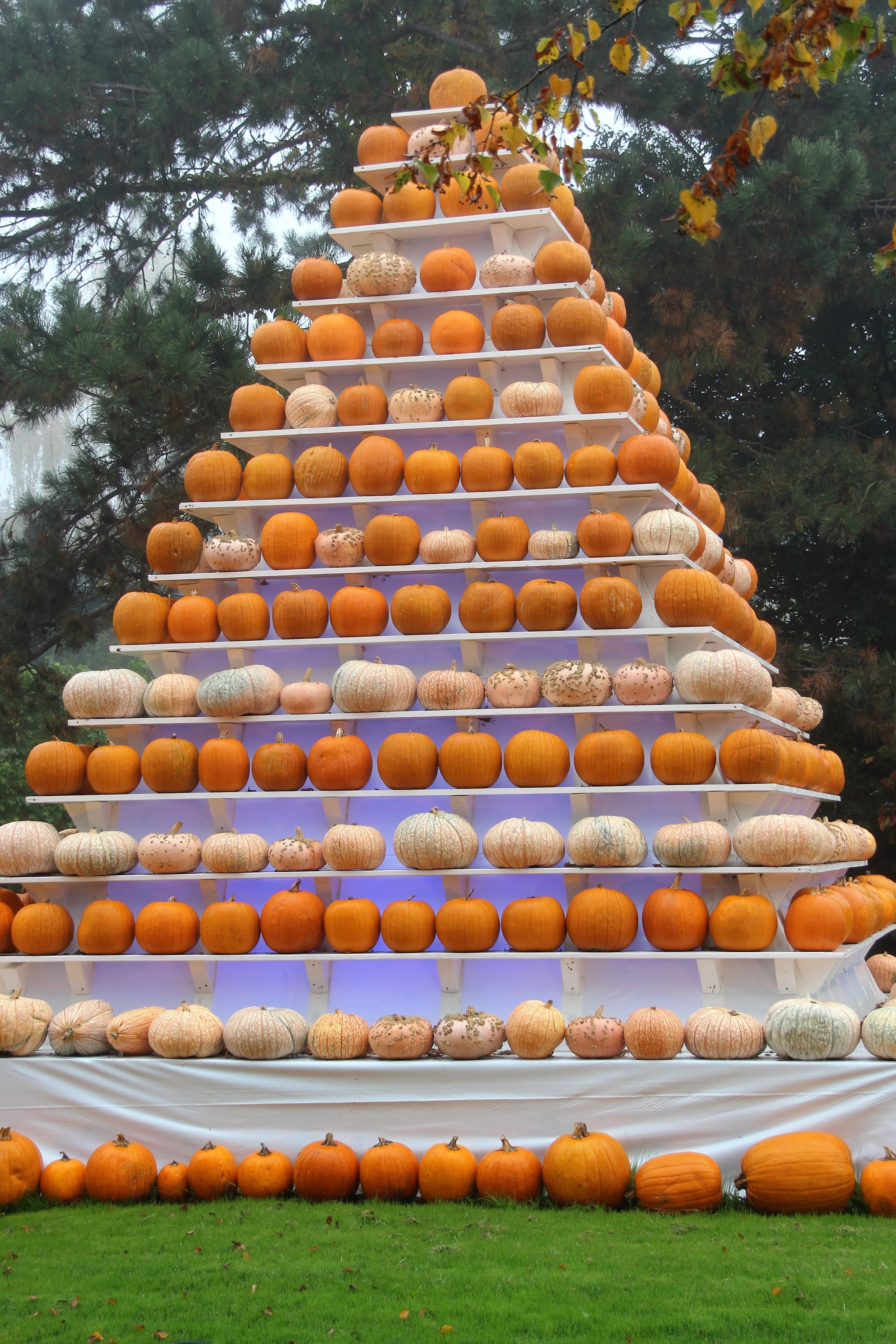 pumpkin lot in white wooden pyramid shelf