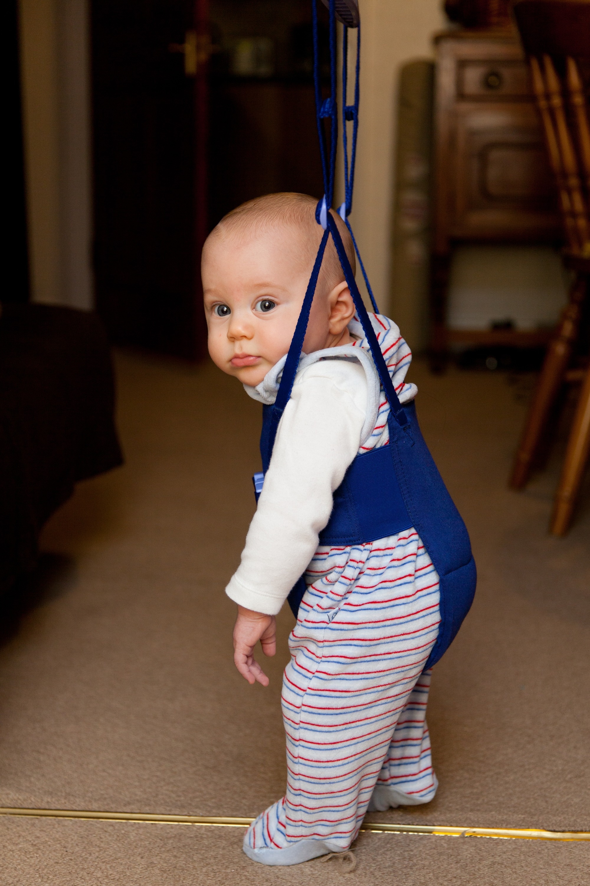 baby's blue doorway jumperoo