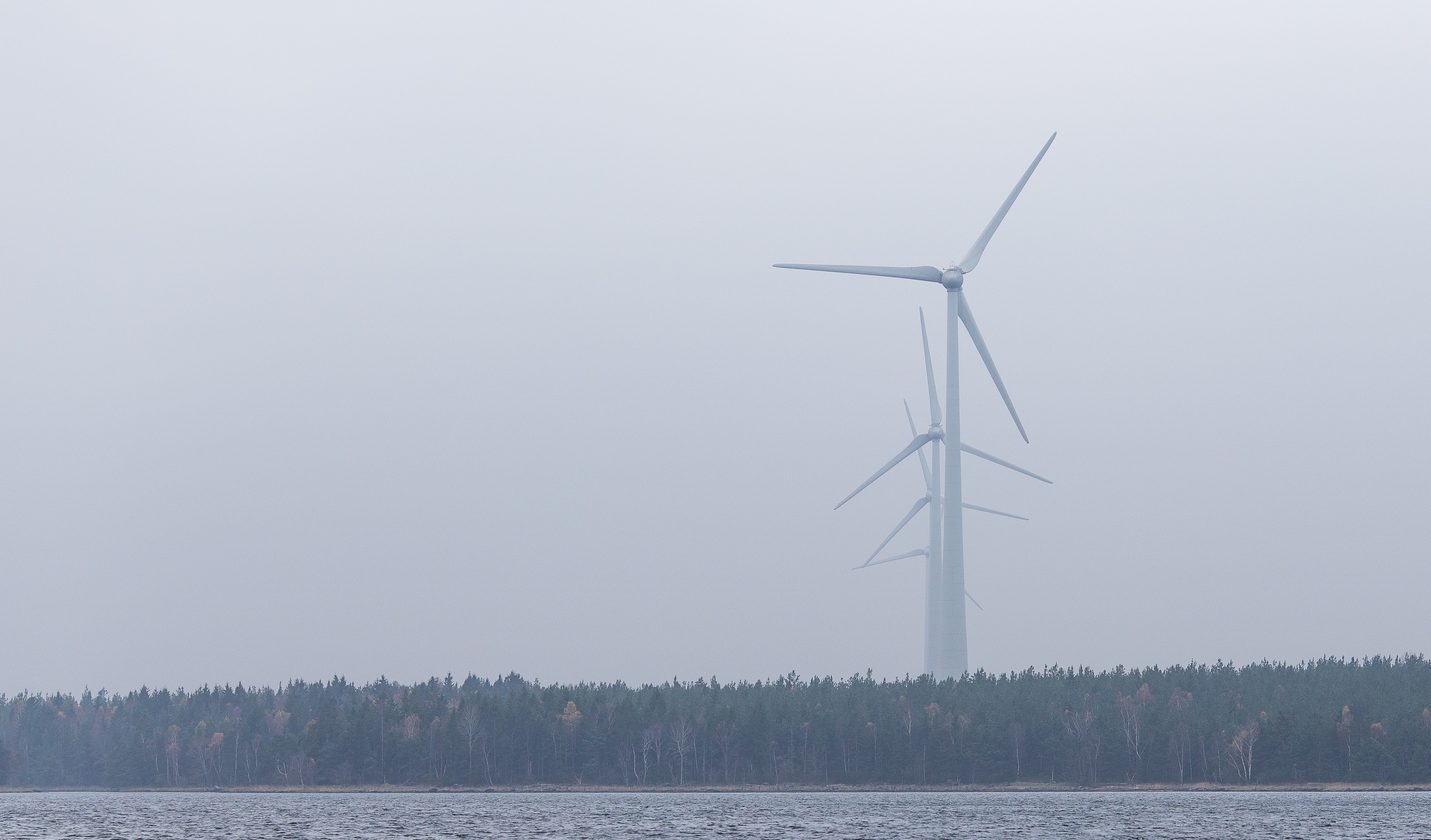 white windmills under gray cloudy sky during daytime