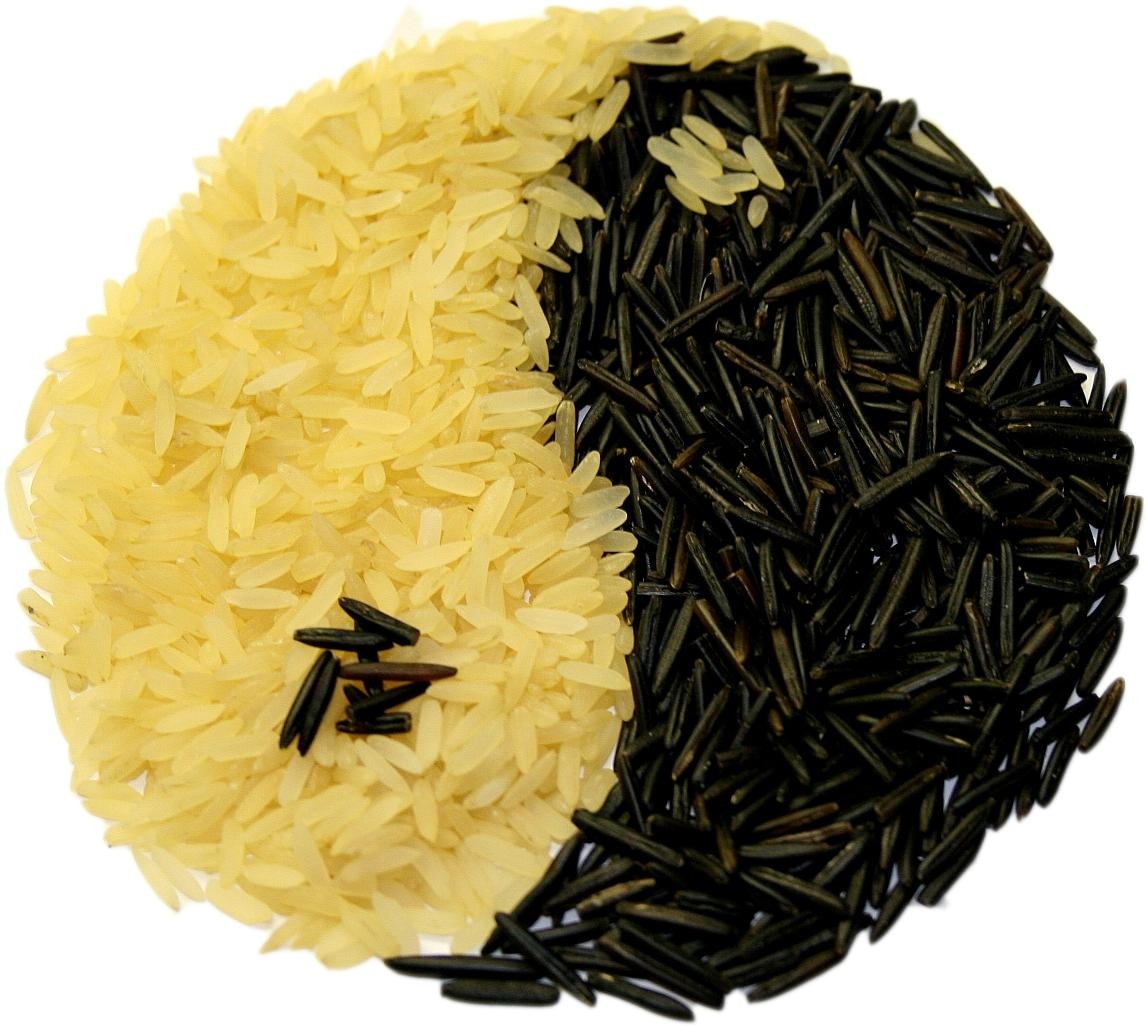 yin yang rice