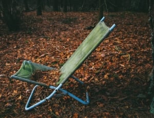folding chair on gray dry leaves outdoor thumbnail