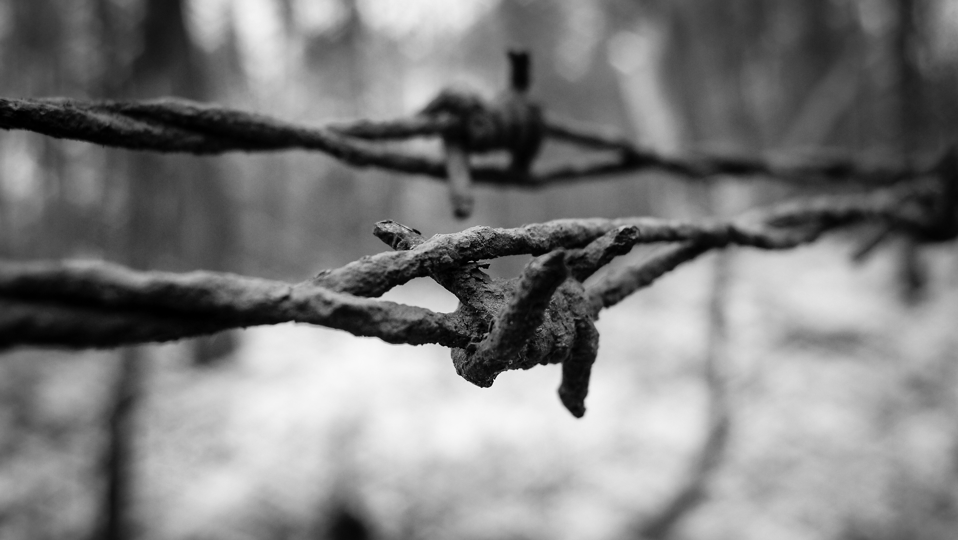black barbed wire