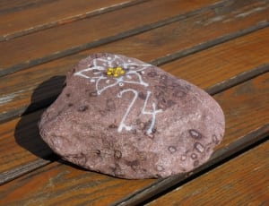 close capture of a brown stone with flower and number 24 painting thumbnail