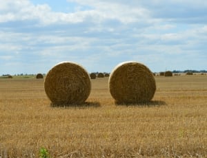 2 round haystack thumbnail