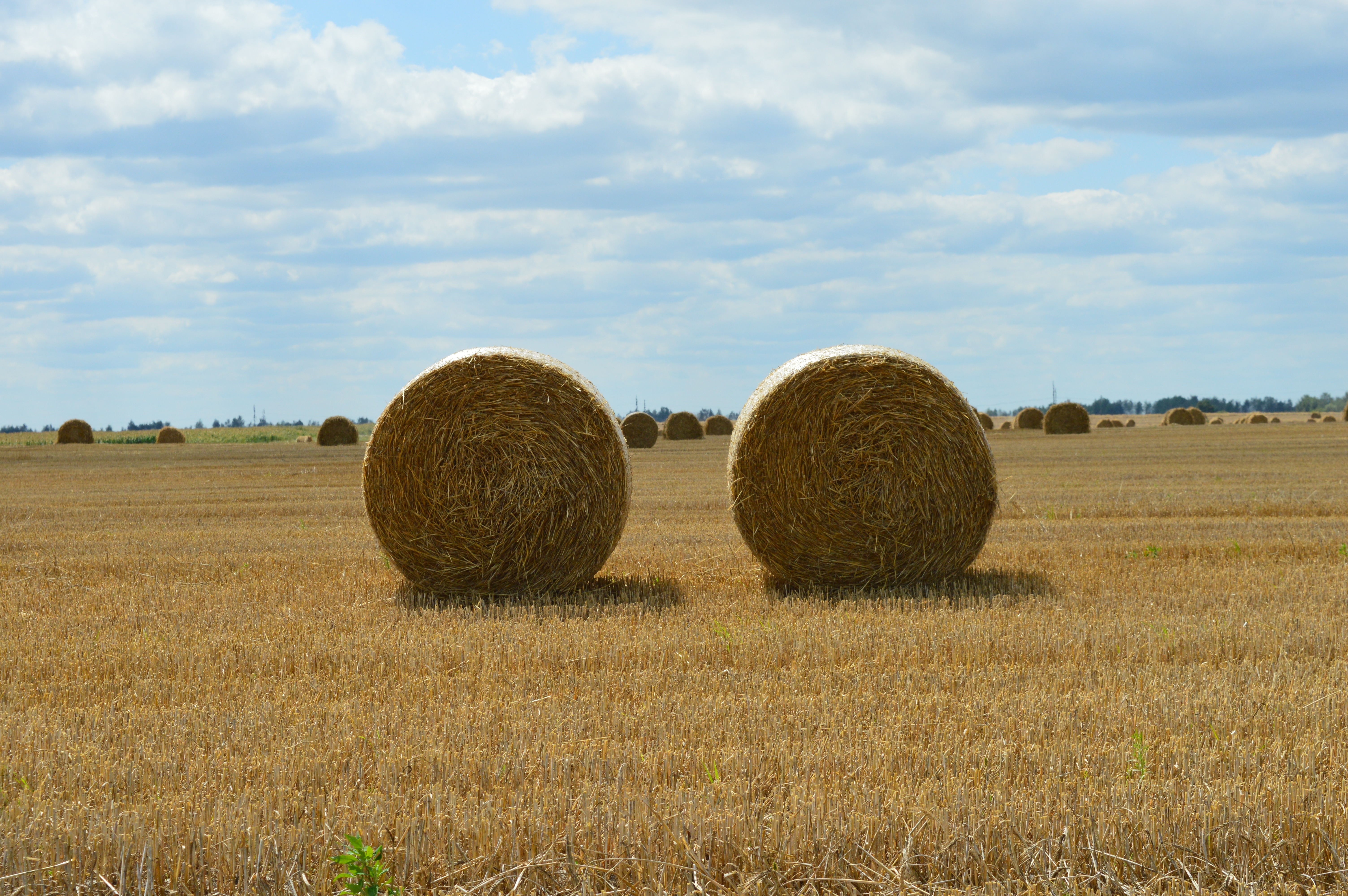 2 round haystack