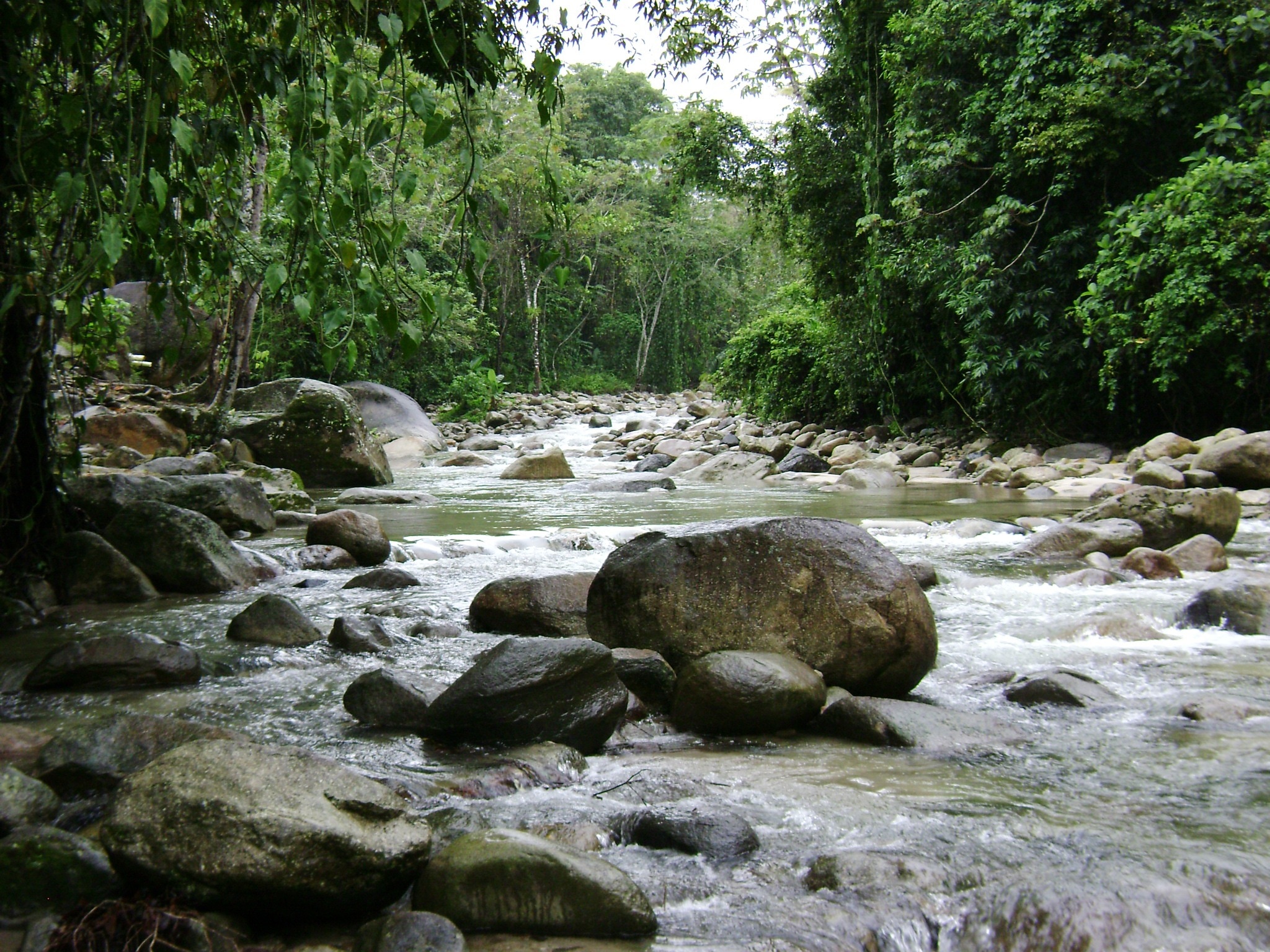 Creek. Долина ручьёв АРК. Речке токовой. Река ток. Река ток фото.