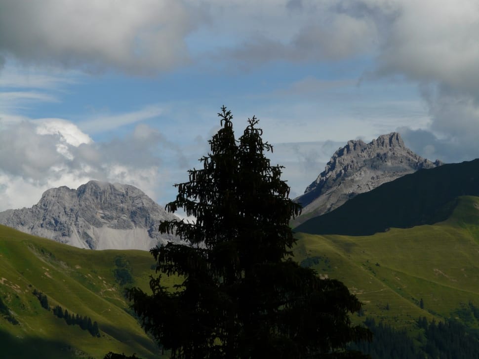 silhouette photo of tree near mountain under cloudy sky during daytime preview