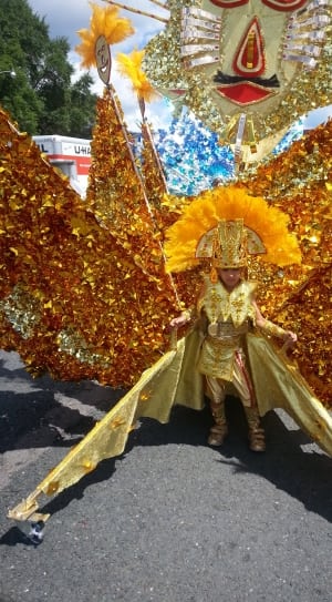 boy wearing brown and yellow ruffled wing costume standing on road thumbnail