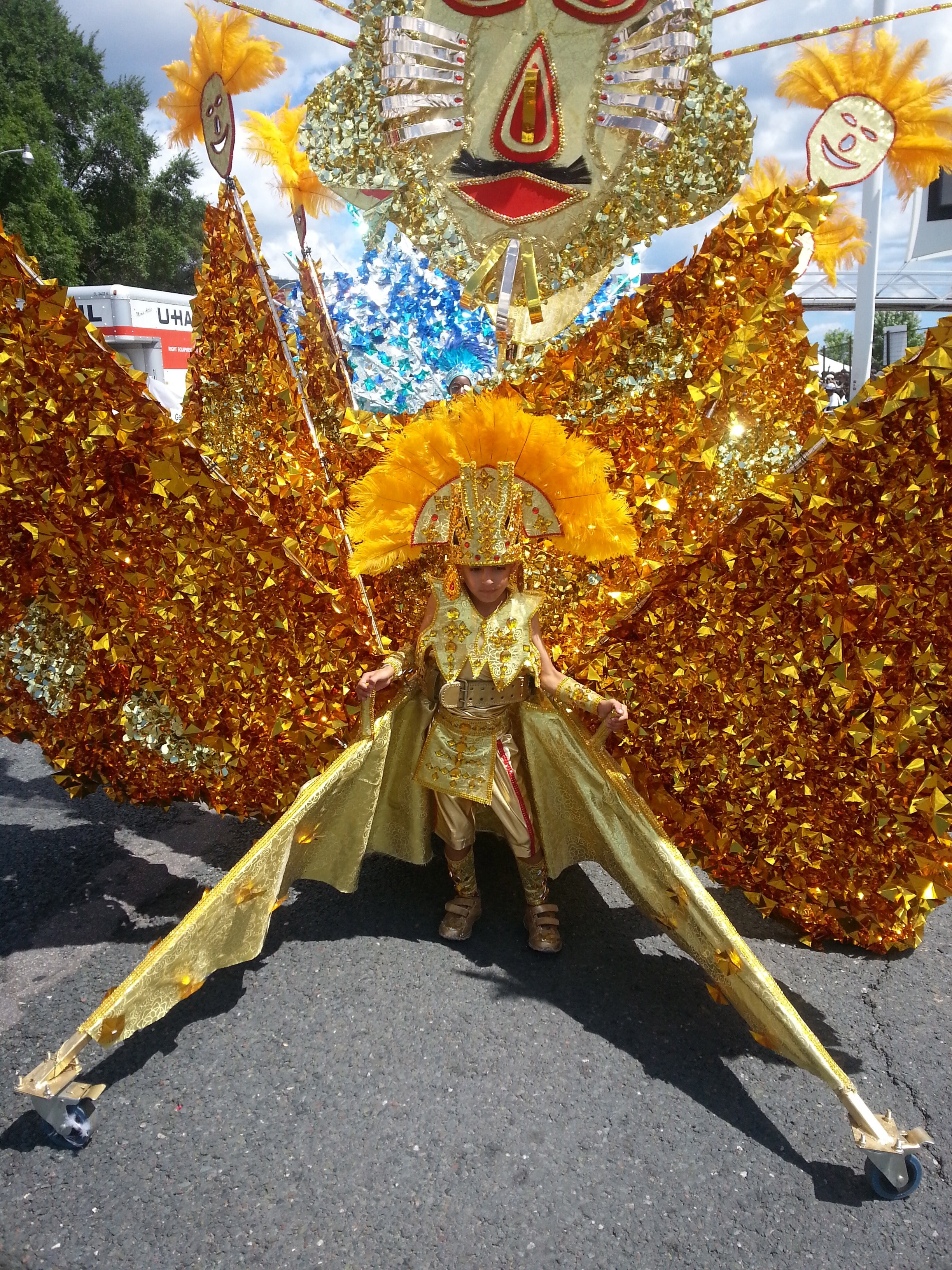 boy wearing brown and yellow ruffled wing costume standing on road