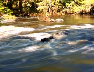 view of a flowing river thumbnail
