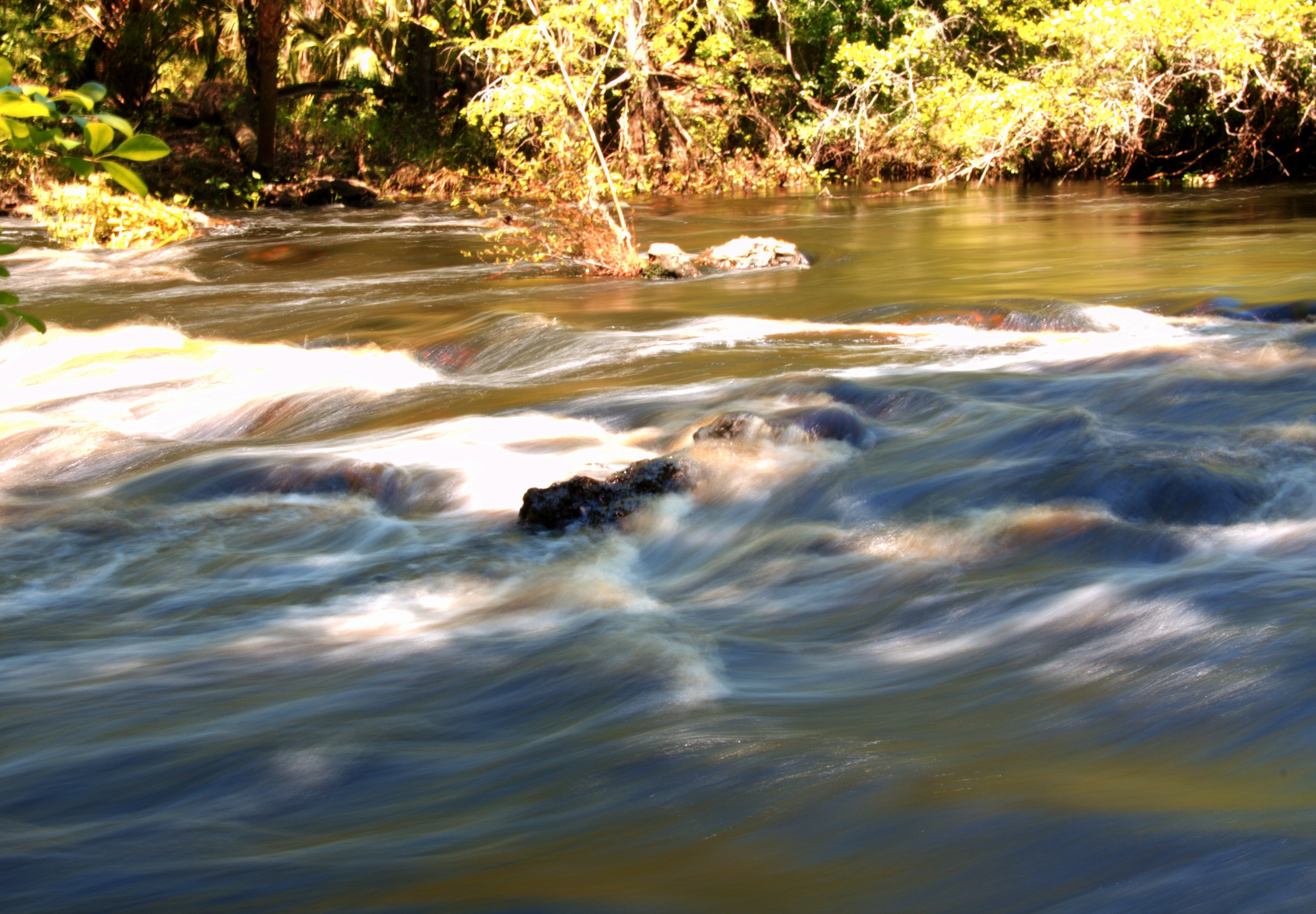 view of a flowing river