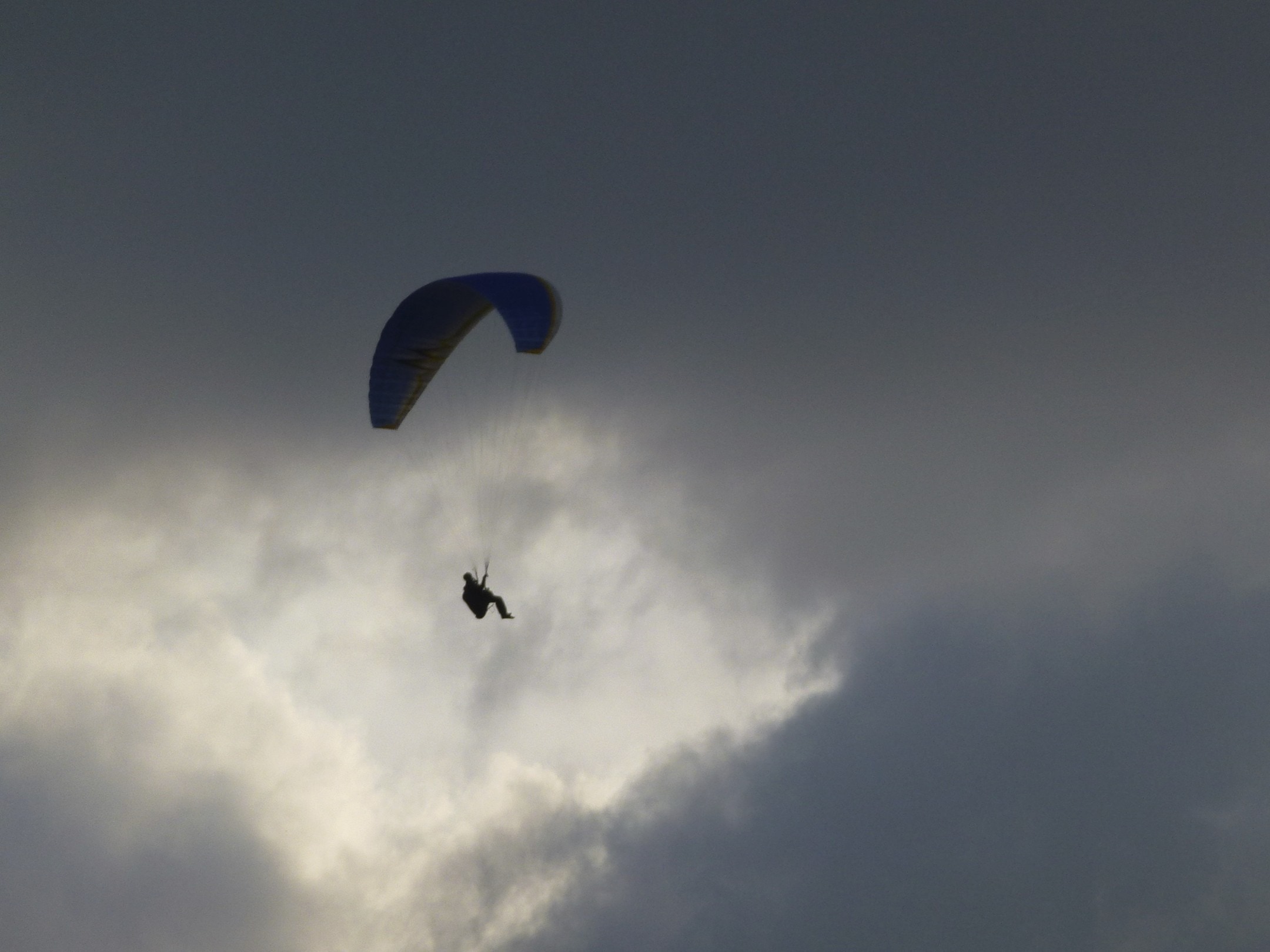 person parachute under gray and white sky