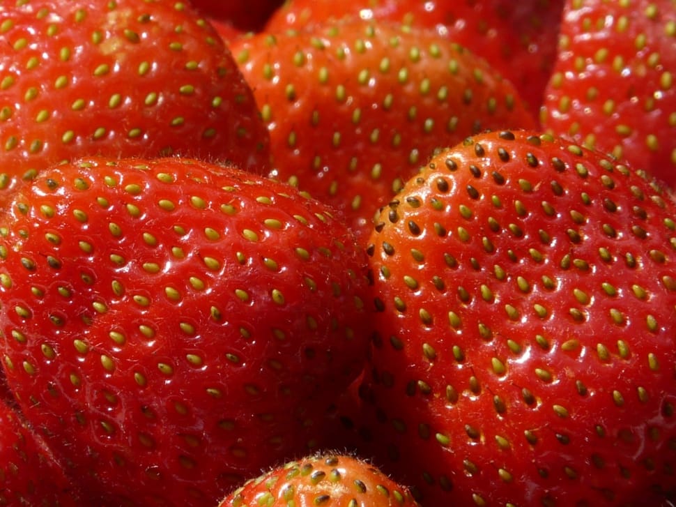 red strawberries preview