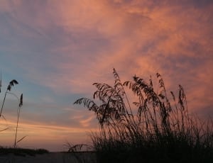 Sunset, Beach, Nature, Sun, Texture, Sky, sunset, silhouette thumbnail