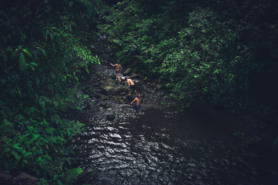 three man in lake in the middle of green trees preview