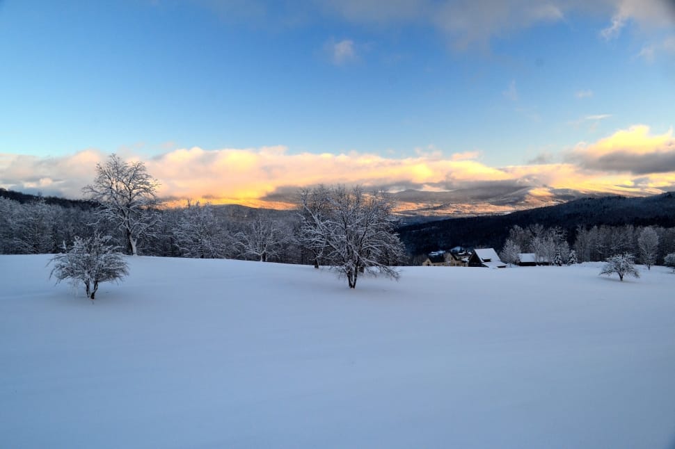 snow fields during dawn preview