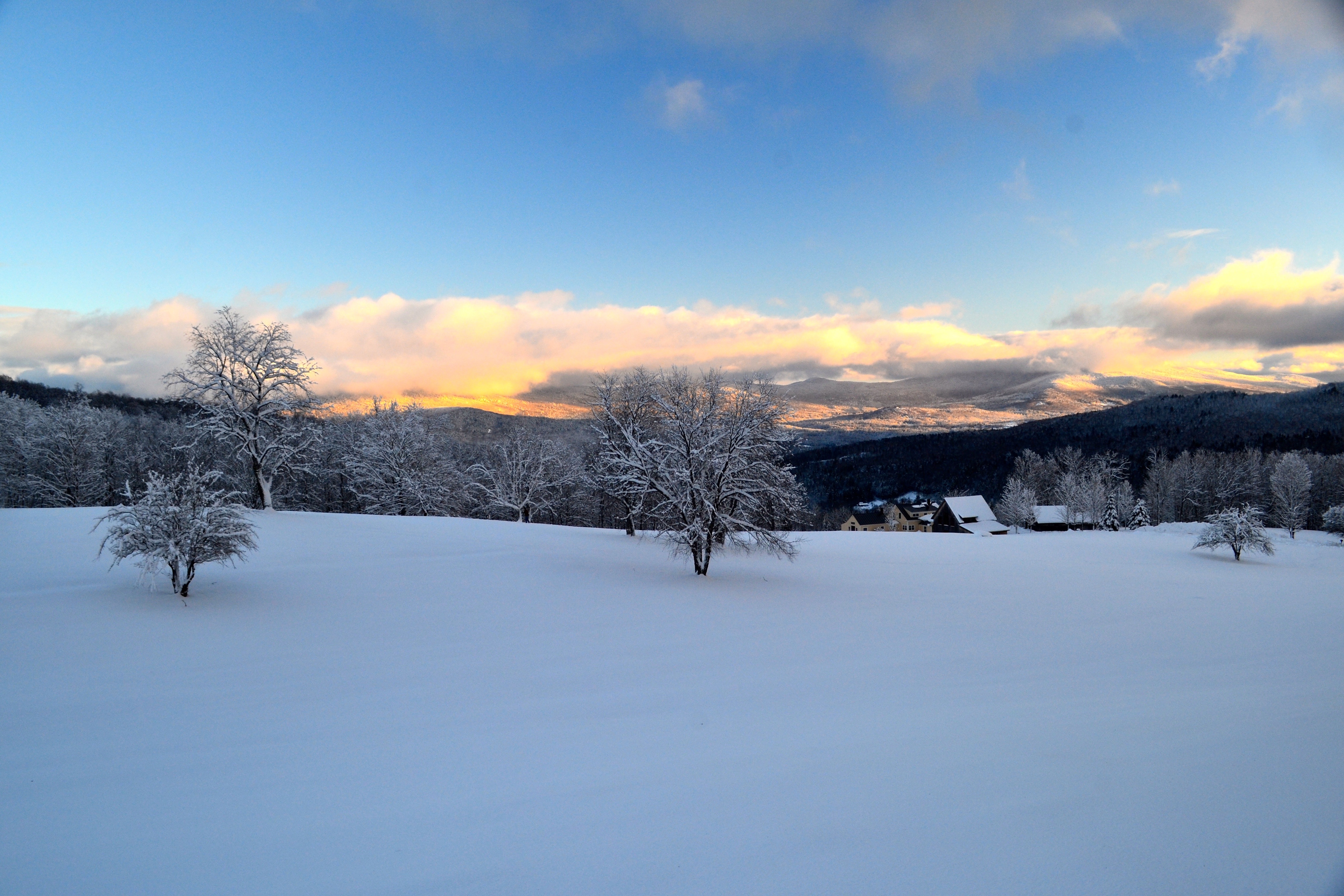 snow fields during dawn