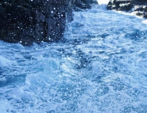 close up photo of water splash during daytime thumbnail