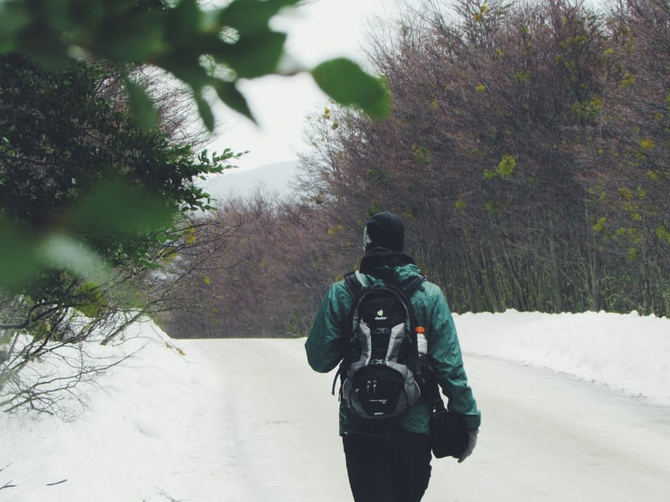 person in green jacket, black pants and black and gray backpack walking on snow covered road surrounded with trees under white sky during daytime preview