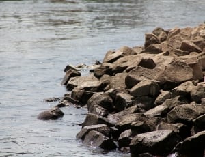 brown rocks beside body of water during daytime thumbnail