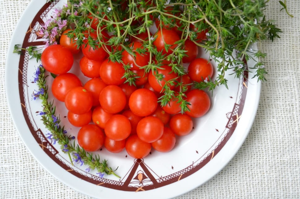 red tomatoes on white ceramic round plate preview