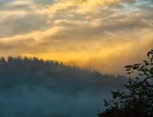 foggy pine tree coated mountain during sunset thumbnail