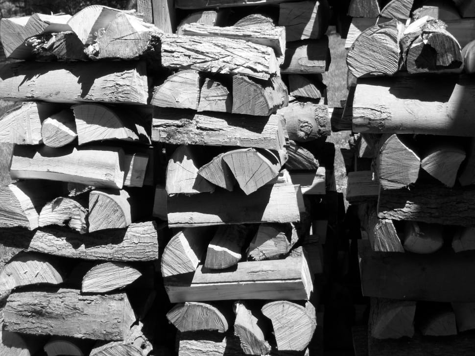 grayscale photo of fire wood preview