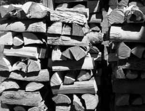 grayscale photo of fire wood thumbnail