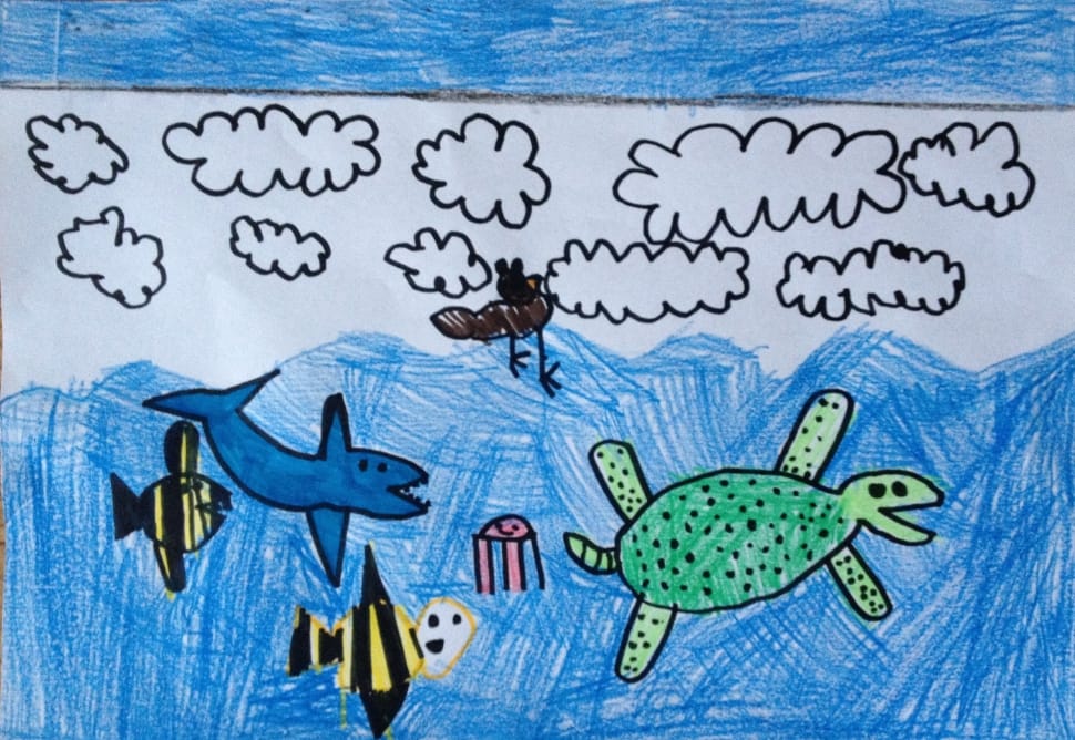 turtle fish shark and jelly fish drawing preview