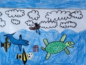 turtle fish shark and jelly fish drawing thumbnail