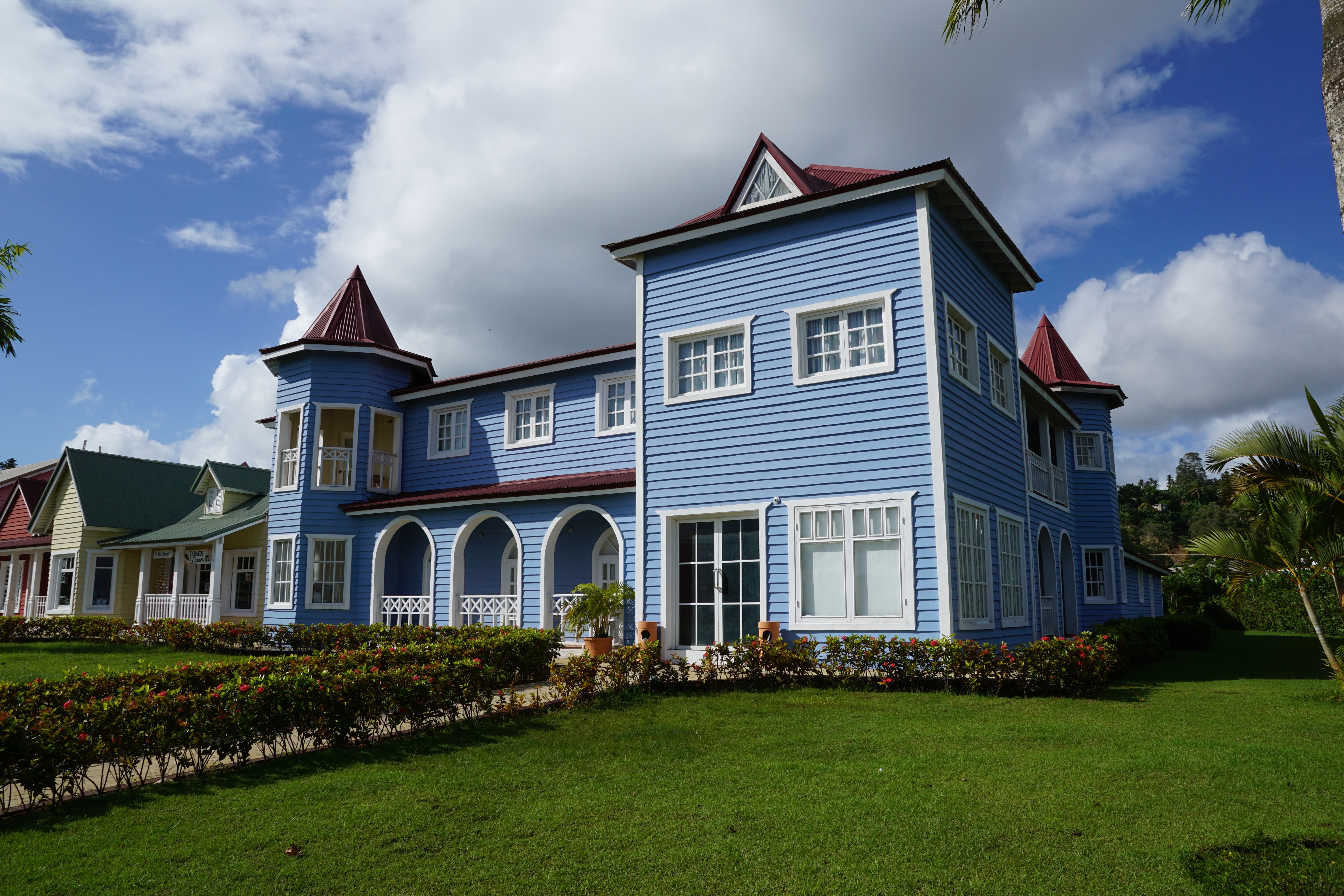 blue white and brown wooden 2 story house