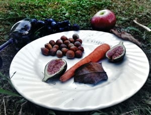 assorted vegetables and fruits on the plate with dark lighting thumbnail