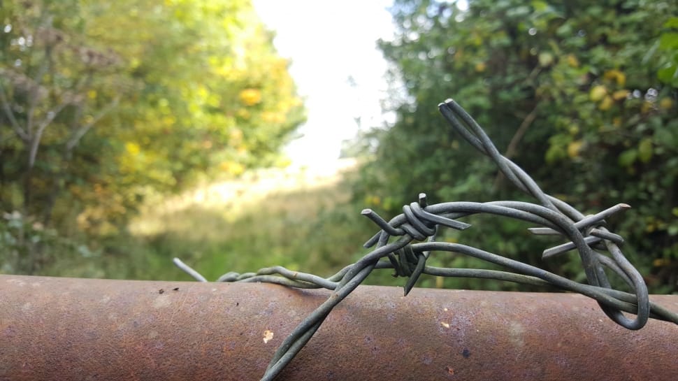 gray barbed wire preview