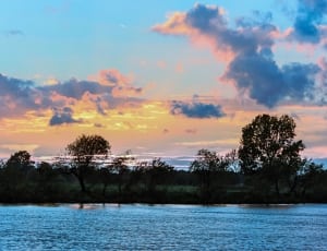 photo of body of water near trees under blue and yellow sky during sunset thumbnail